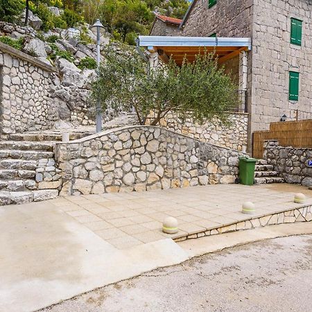 Villa Lazini Dvori Stasevica المظهر الخارجي الصورة