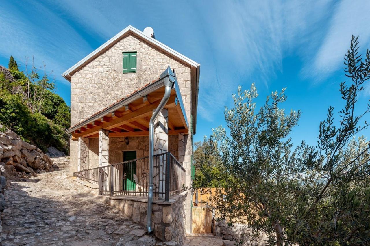 Villa Lazini Dvori Stasevica المظهر الخارجي الصورة
