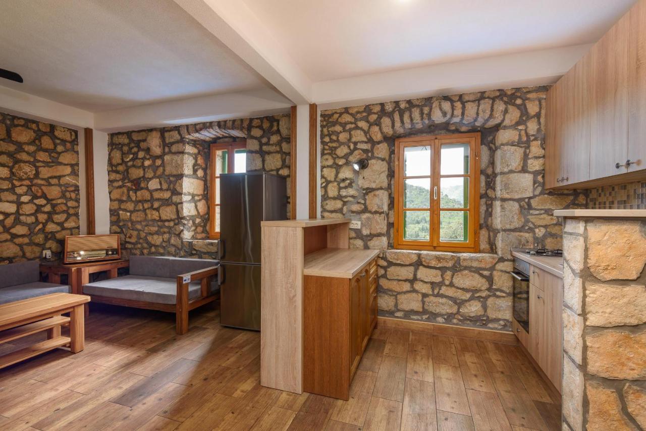 Villa Lazini Dvori Stasevica المظهر الخارجي الصورة